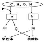 再见金钱，前往贫困村