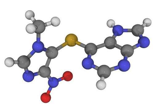 养蜂人 （英语版）