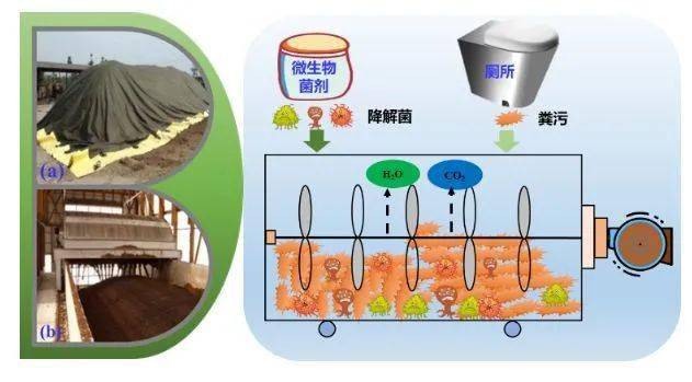 六月里来好阳光