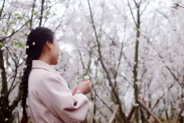 关于约会的一切