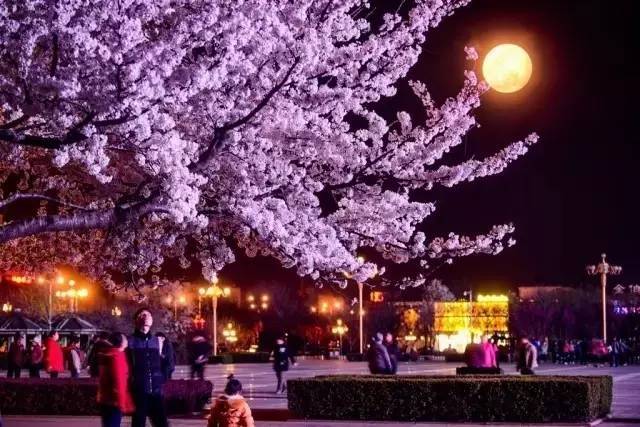 克雷兄弟的崛起