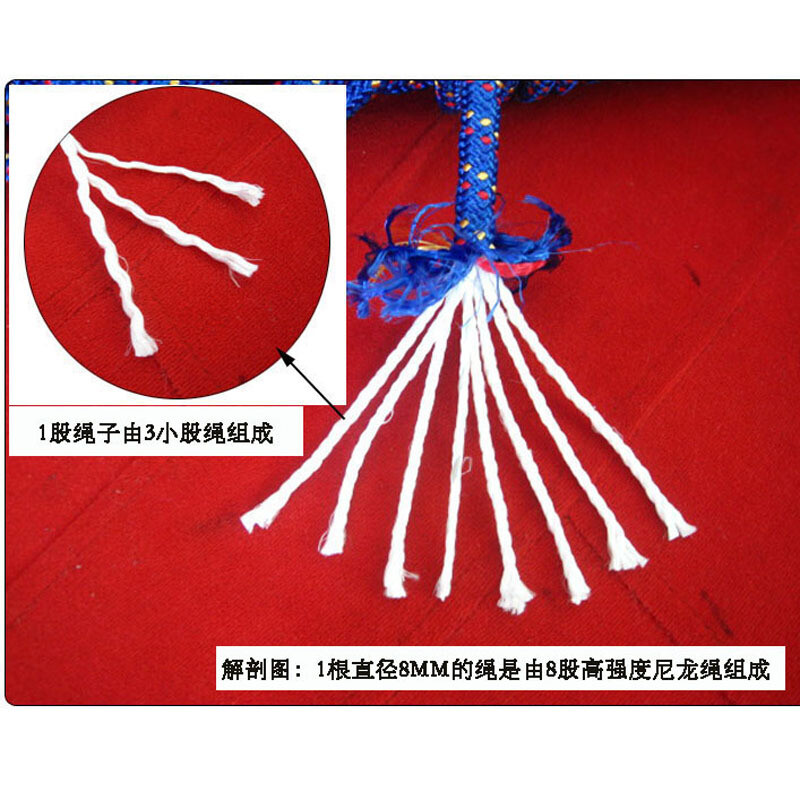 养蜂人 （英语版）