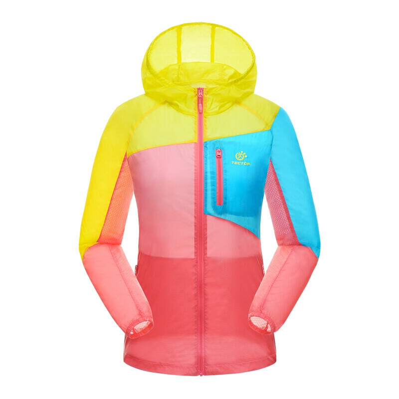 克莱拉与熊的秘密