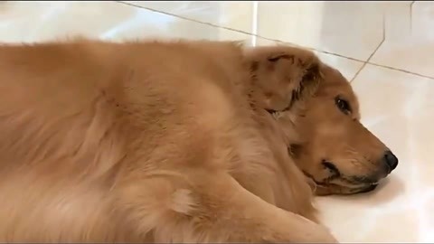 全面失控：私家侦探妈妈