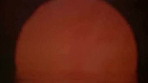 全面失控：私家侦探妈妈