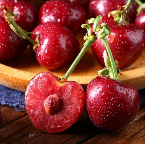 克莉丝堤:杀人网站